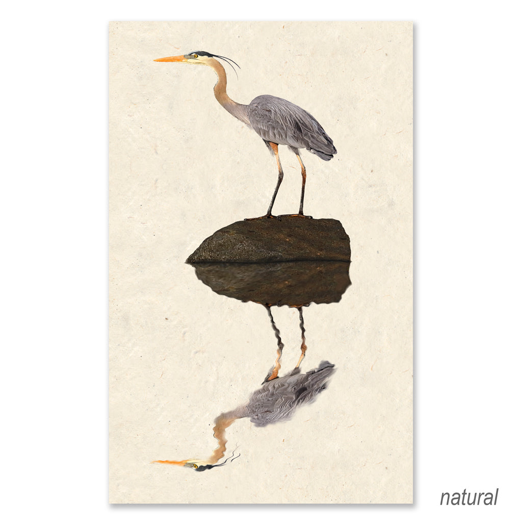 Great Blue Heron grand format