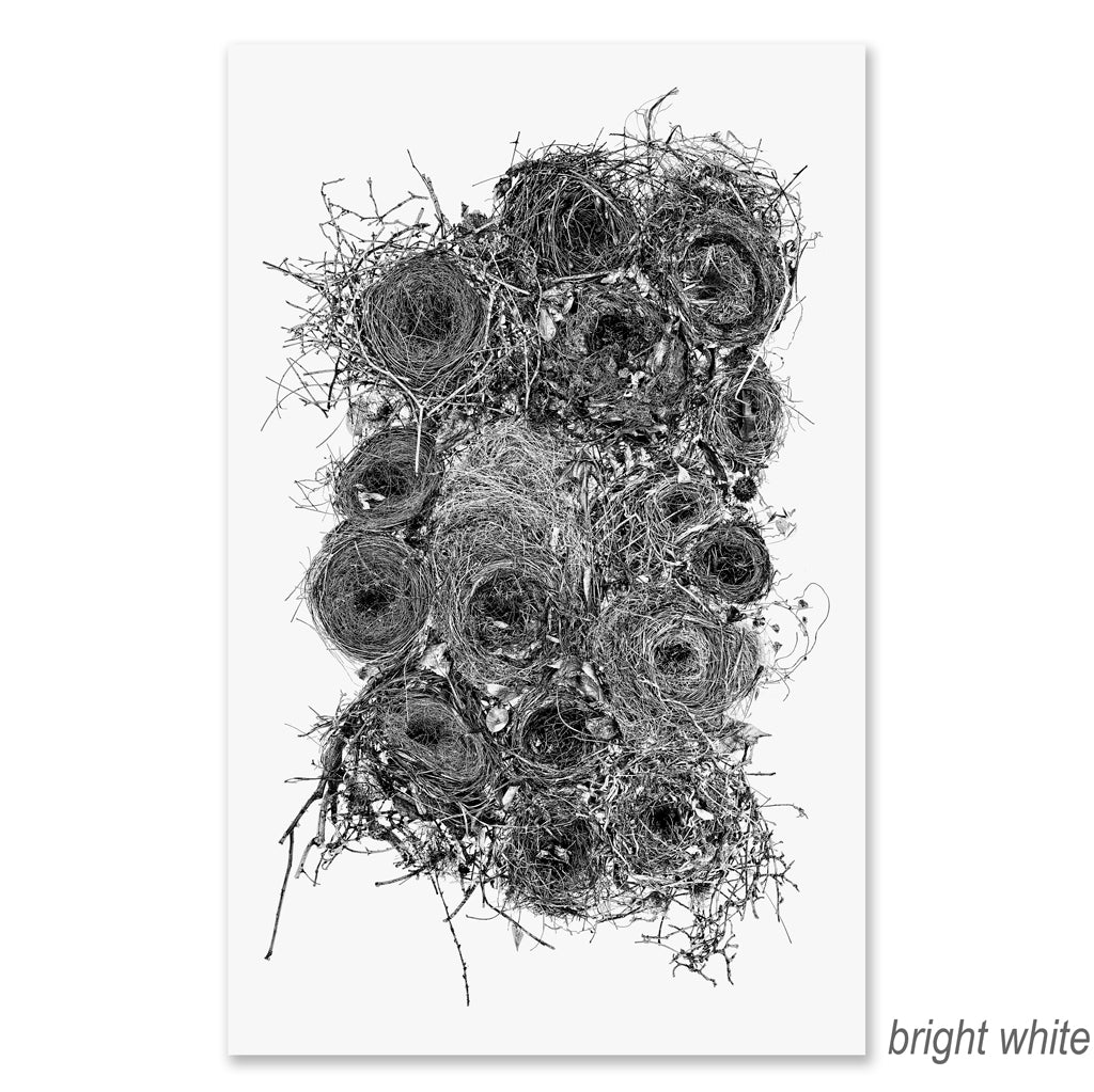 Collective Nests Grand Format (black and white)