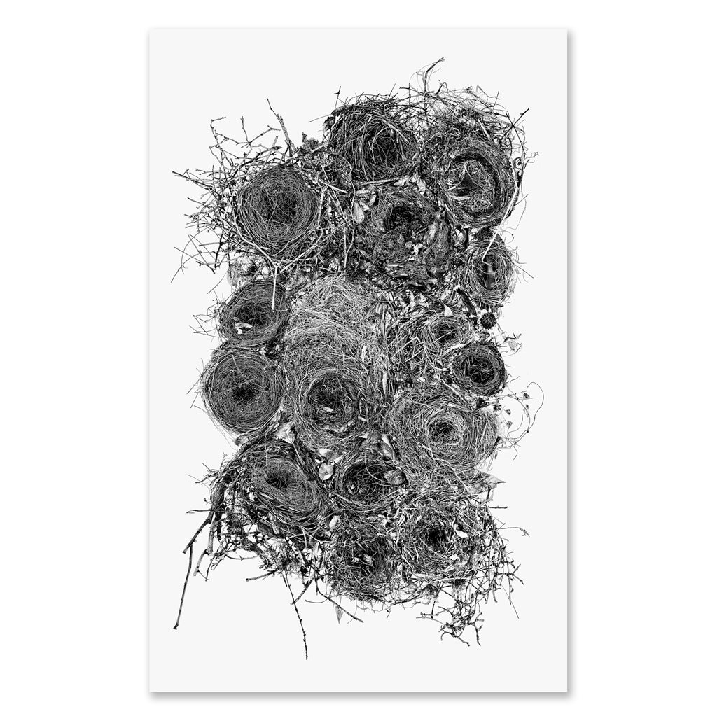 Collective Nests Grand Format (black and white)