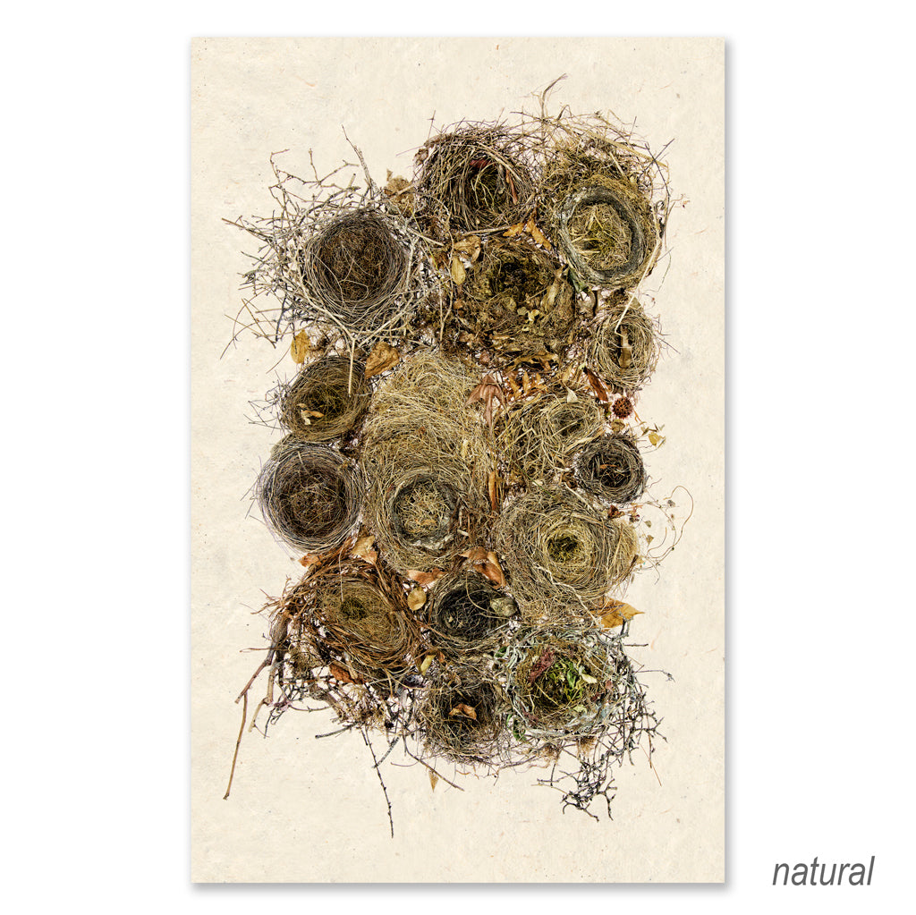 Collective Nests Grand Format (color)