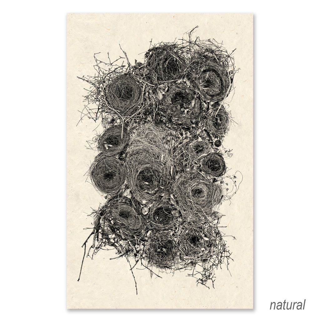 Collective Nests Grand Format (black and white)