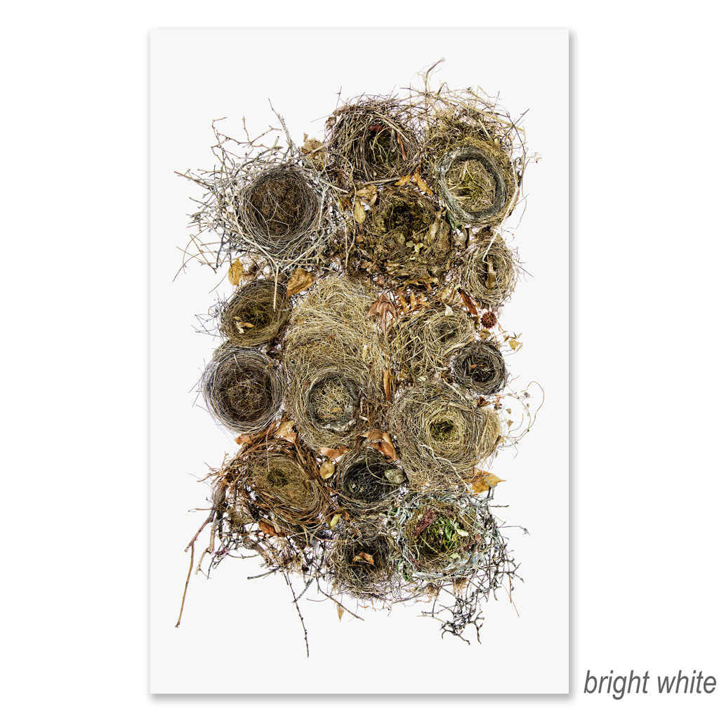 Collective Nests Grand Format (color)