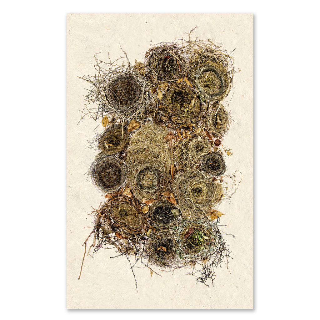 Collective Nests Grand Format