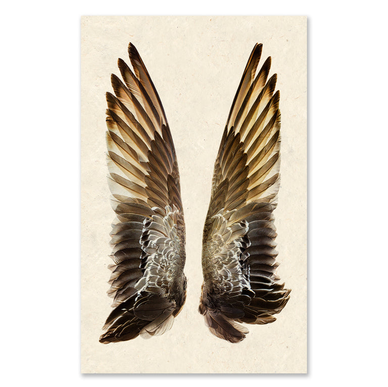 Grand Format Prints — BARLOGA STUDIOS- fine photographs on intriguing ...