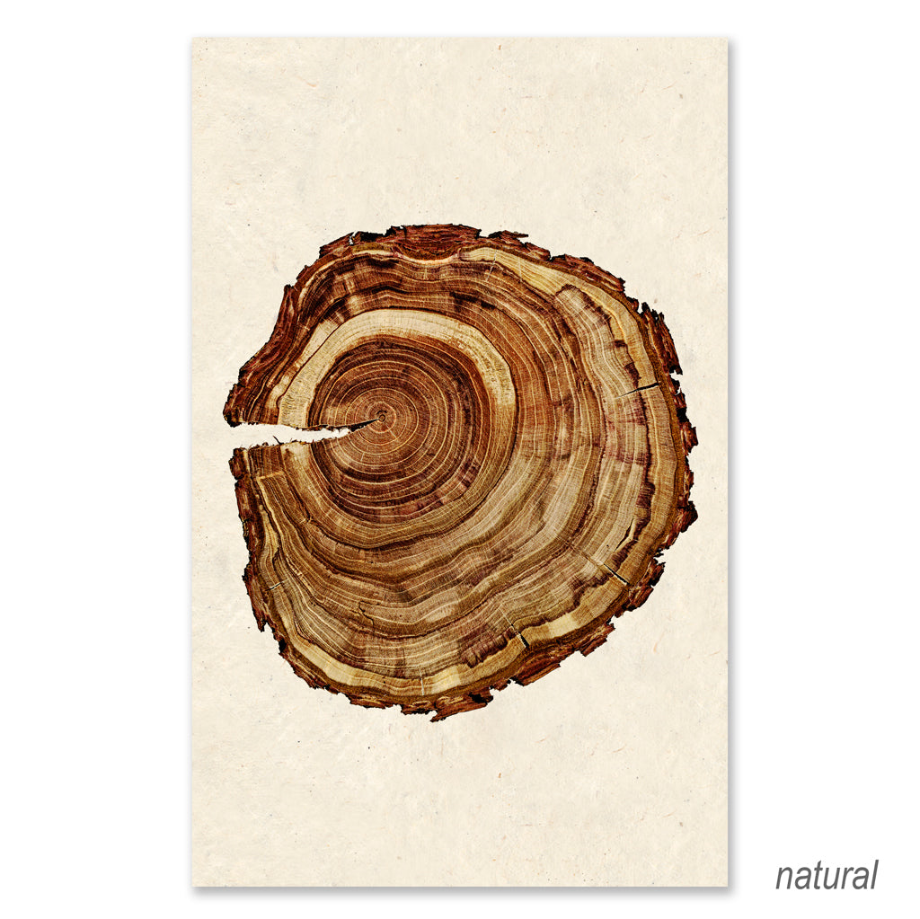 Plum Wood #1 Grand Format