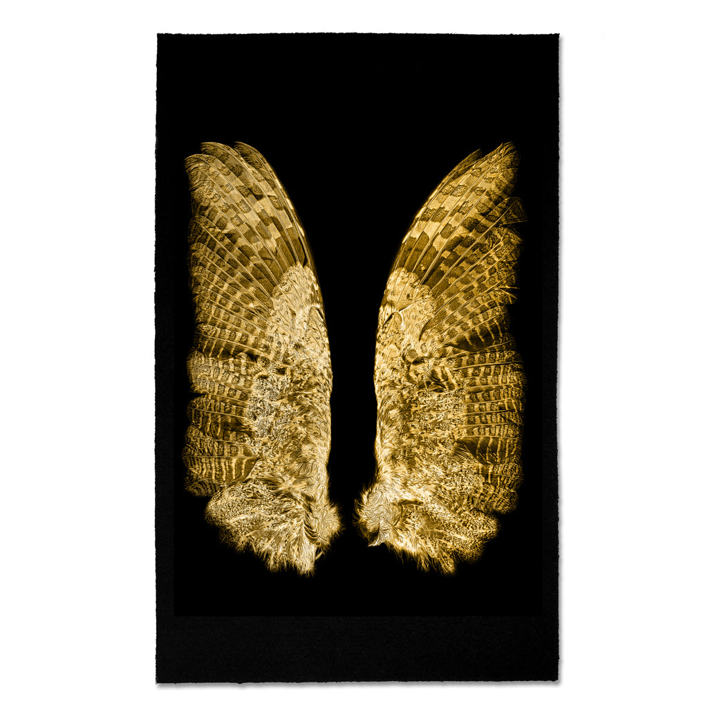 Kozo Noire Wings