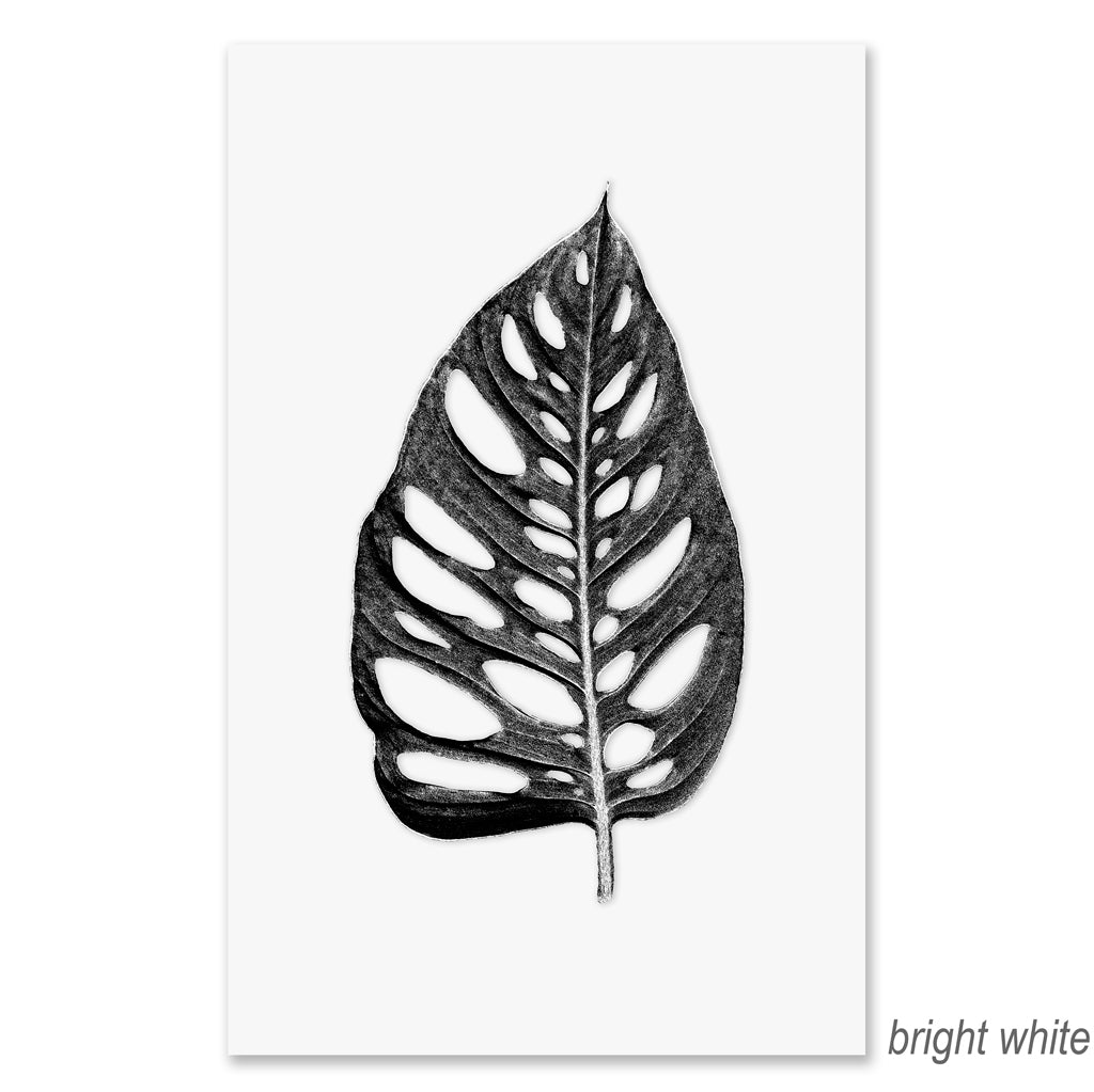 Holey Leaf grand format