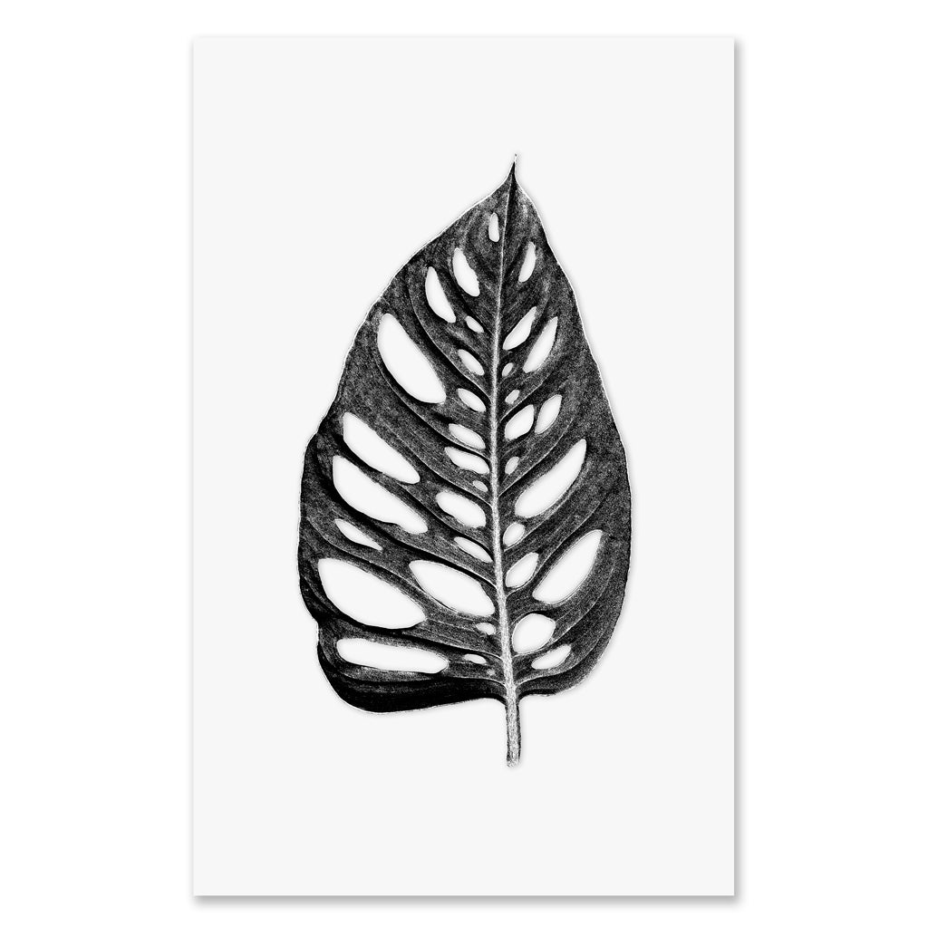 Holey Leaf grand format