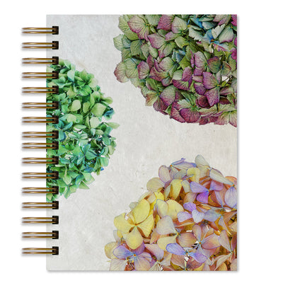 Hydrangeas Journal
