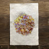 Hydrangeas #6 (Amate Perla)