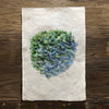 Hydrangeas #7 (Amate Perla)