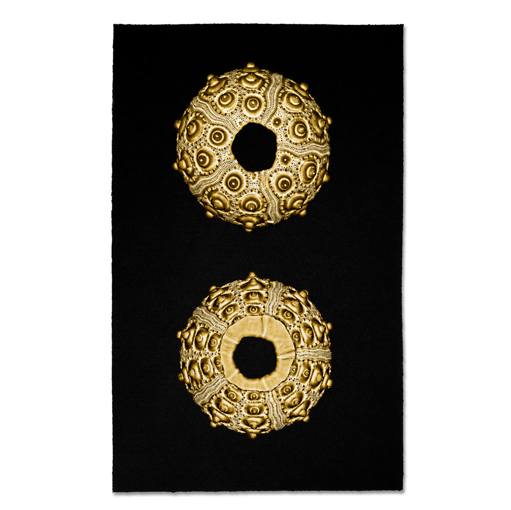 Kozo Noire From The Sea