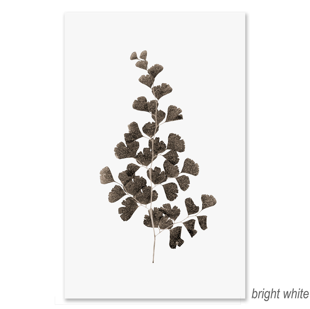 Leaf #1 grand format