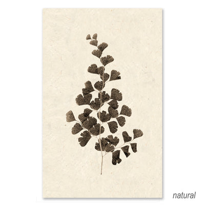 Leaf #1 grand format