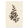 Leaf #1 grand format