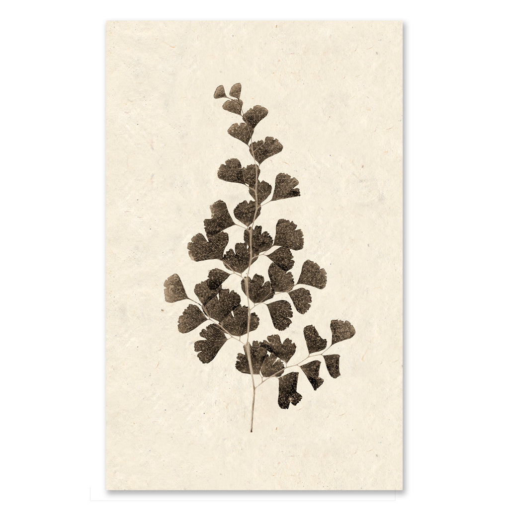 Leaf #1 grand format