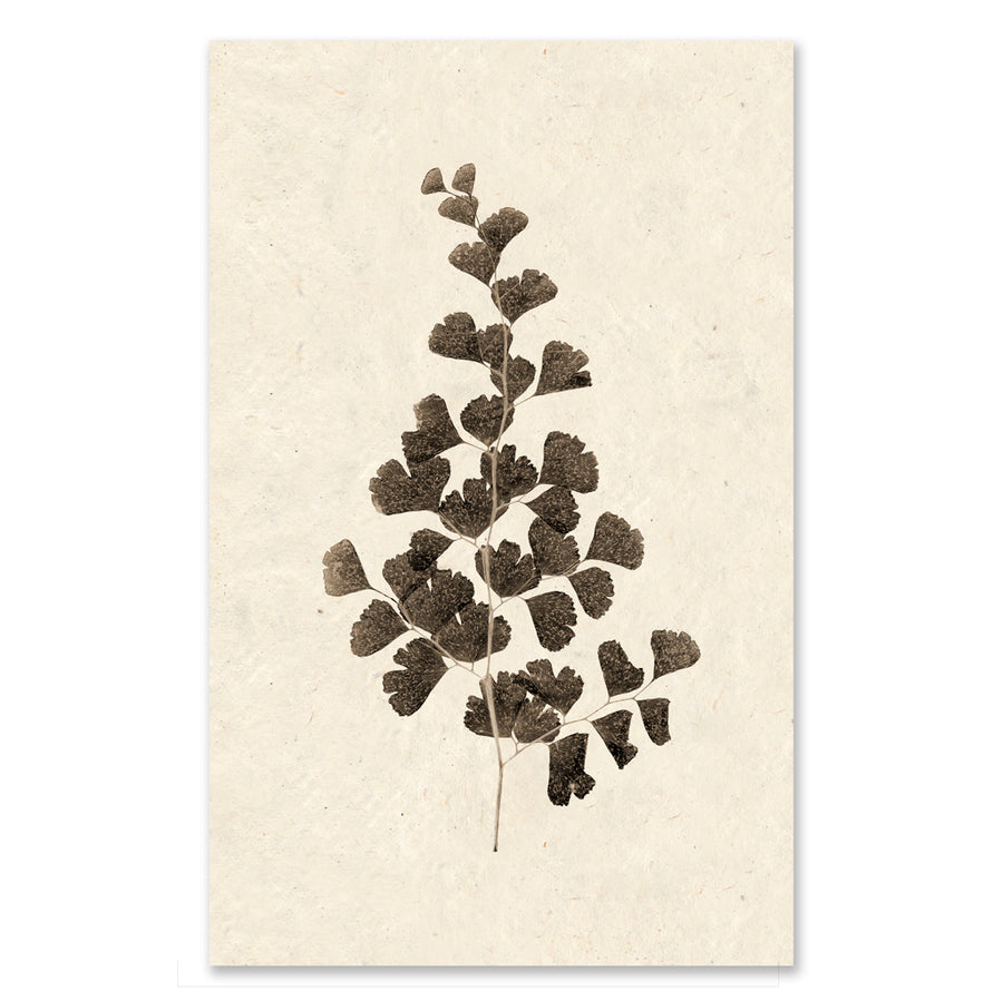 Leaf #1 grand format