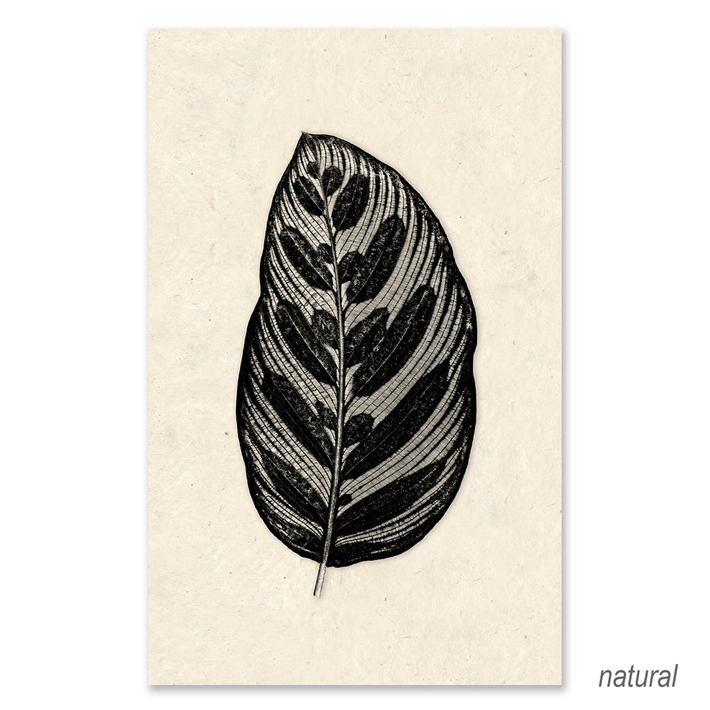 Leaf in Leaf grand format