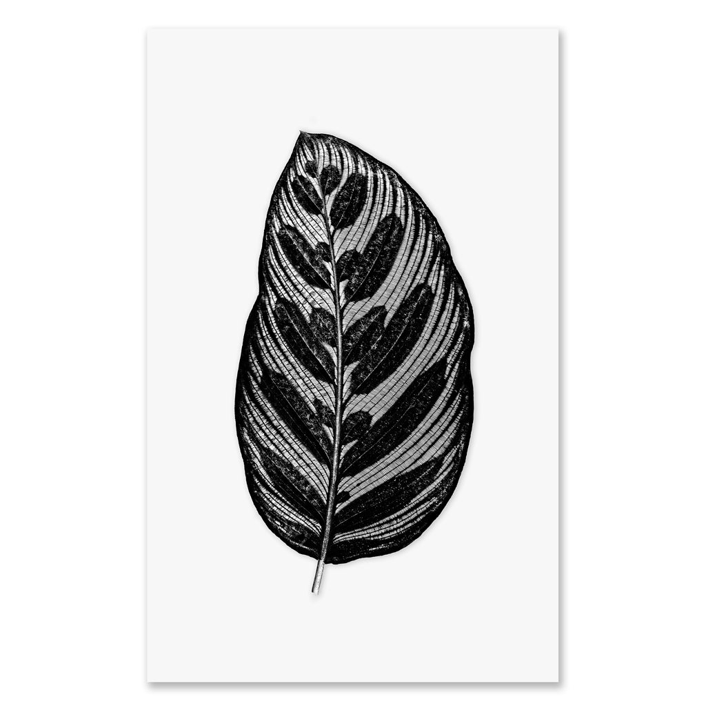 Leaf in Leaf grand format