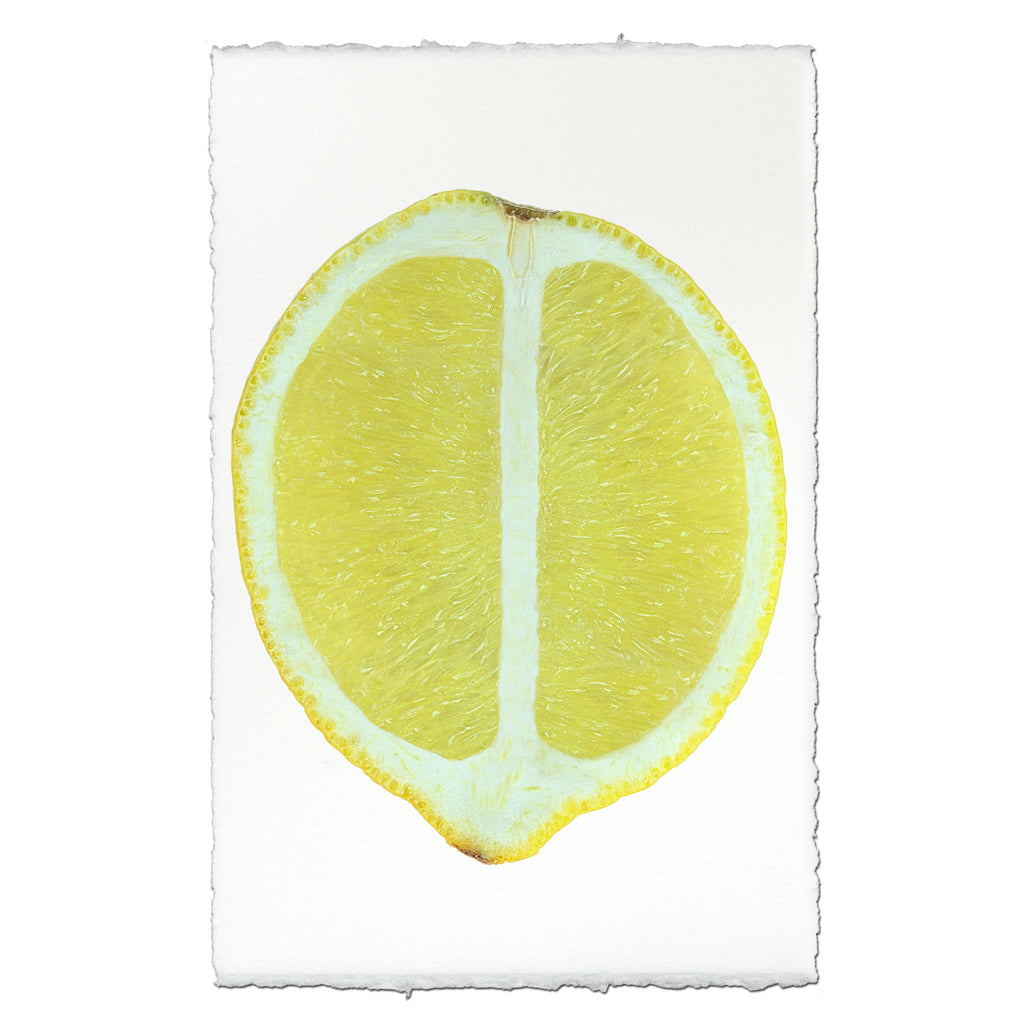 This image features a striking art piece titled "Lemon Half," showcasing a vibrant, detailed print of a sliced lemon. The lemon is depicted in a realistic style with a strong emphasis on light and shadow, highlighting its juicy texture and bright yellow color.