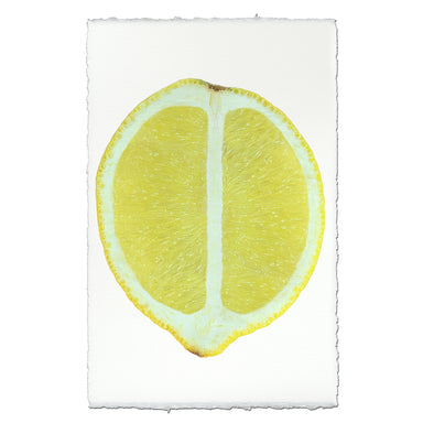 This image features a striking art piece titled "Lemon Half," showcasing a vibrant, detailed print of a sliced lemon. The lemon is depicted in a realistic style with a strong emphasis on light and shadow, highlighting its juicy texture and bright yellow color.