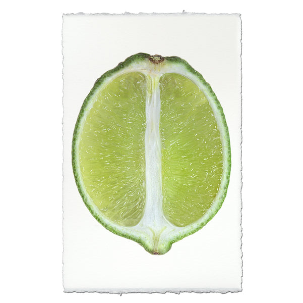 Limes-INT-