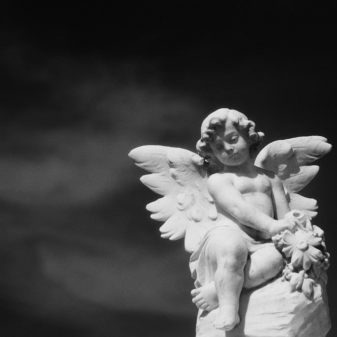 Little Wings- New Orleans, LA