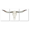 Longhorn Triptych