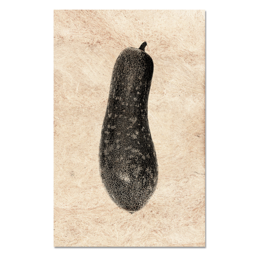 Moqua — BARLOGA STUDIOS- fine photographs on intriguing papers