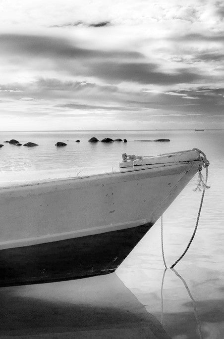 Morning Light - Taveuni, Fiji