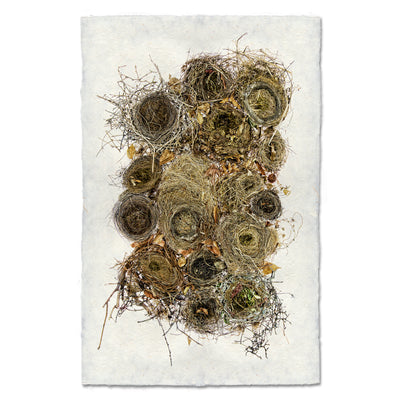 Collective Nests (color)