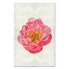 Coral Peony