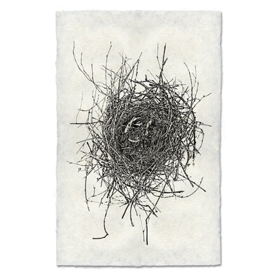 Nest #16