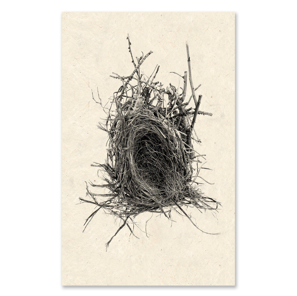 Nest #12 grand format