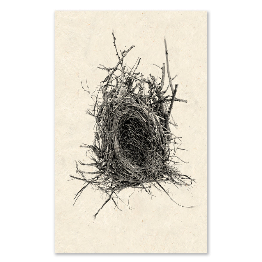 Nest #12 grand format