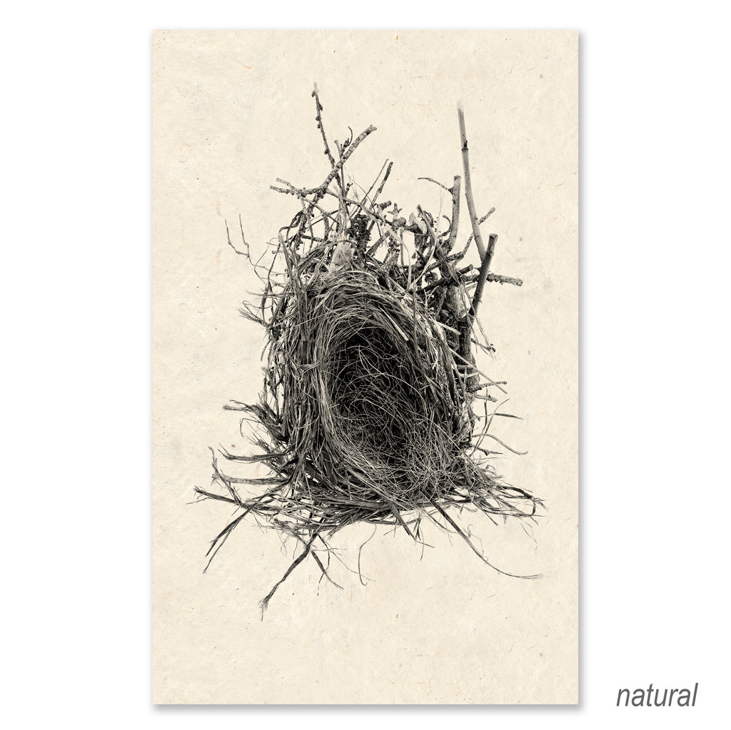 Nest #12 grand format