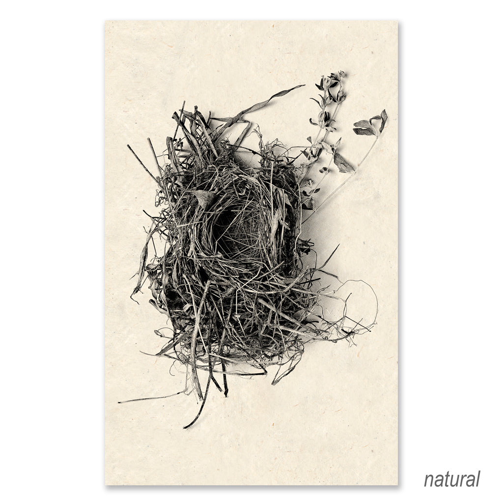 Nest #1 grand format