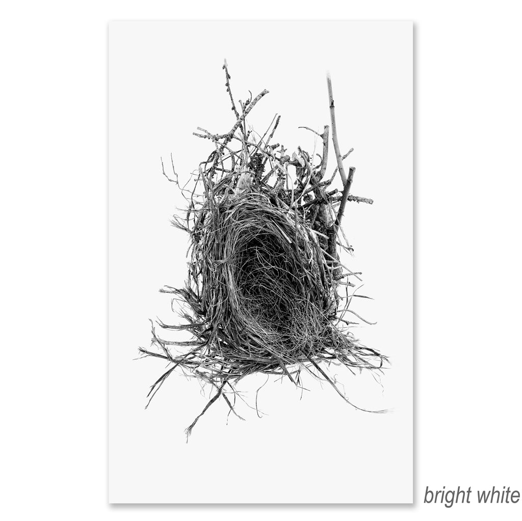 Nest #12 grand format