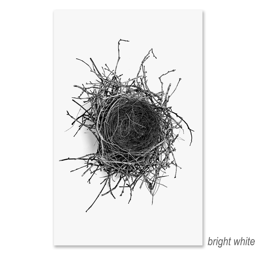 Nest #2 grand format