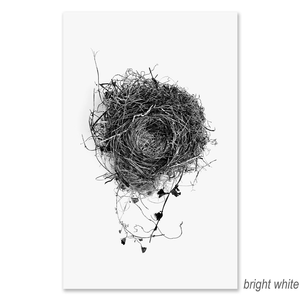 Nest #3 grand format