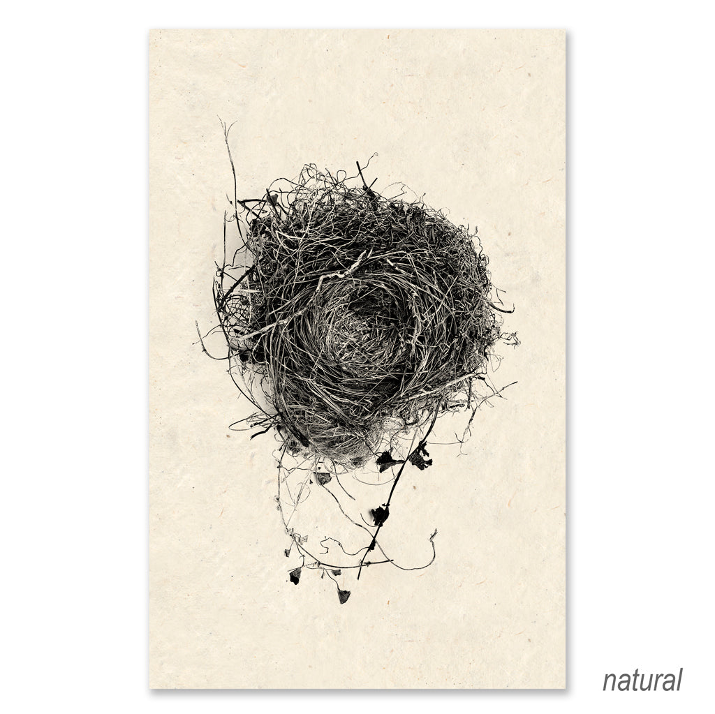 Nest #3 grand format