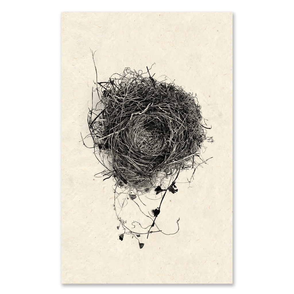 Nest #3 grand format