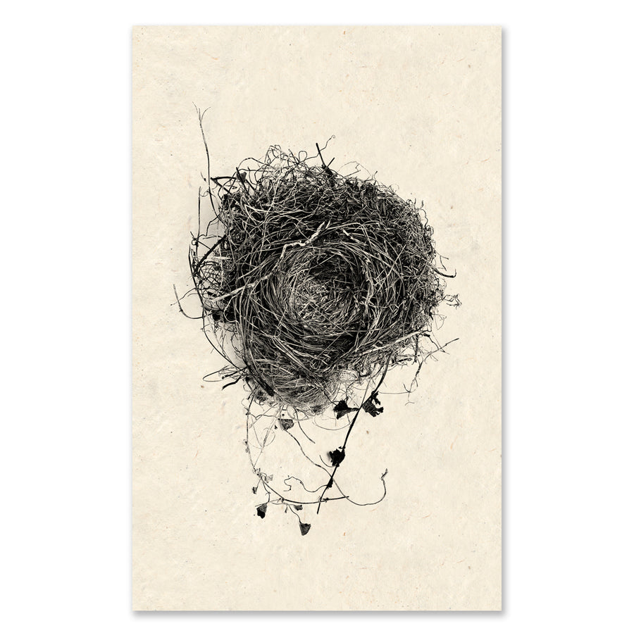 Nest #3 grand format