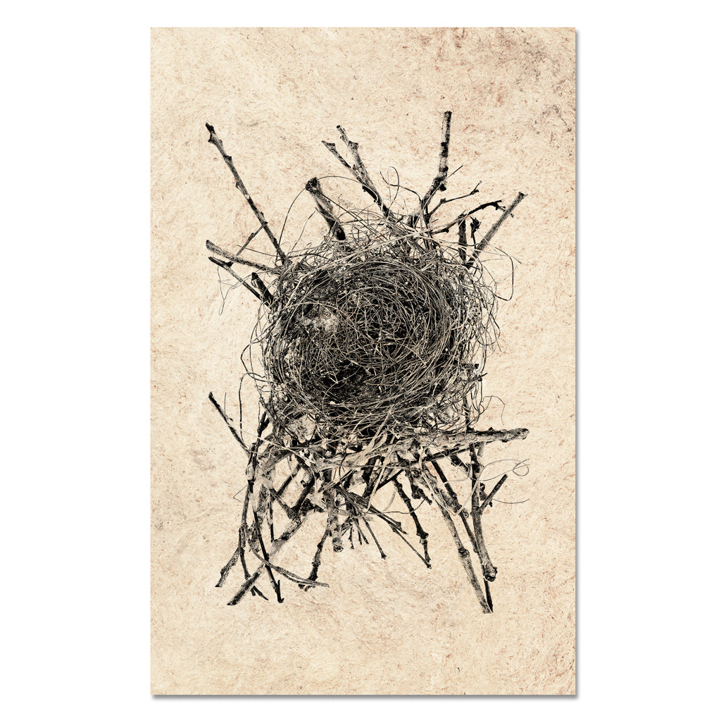 Nest Study #15