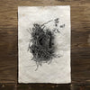 Nest Study #1 (Amate Perla)