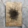 Nest Study #2 (Amate Sierra)