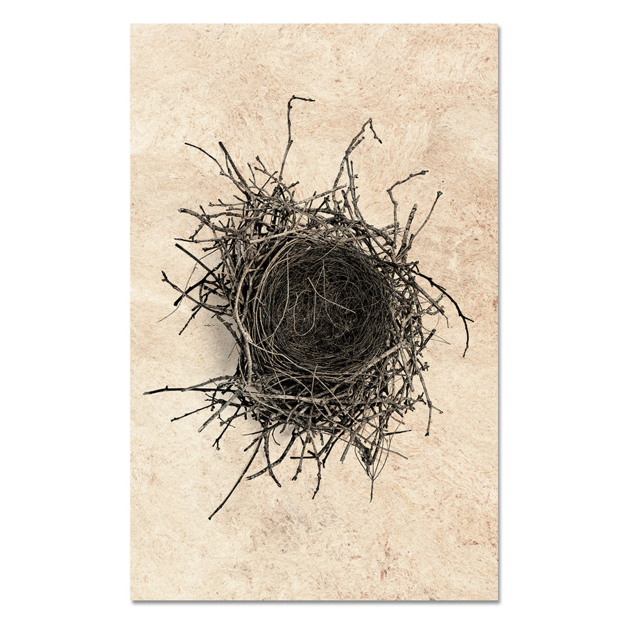 Nest Study #2