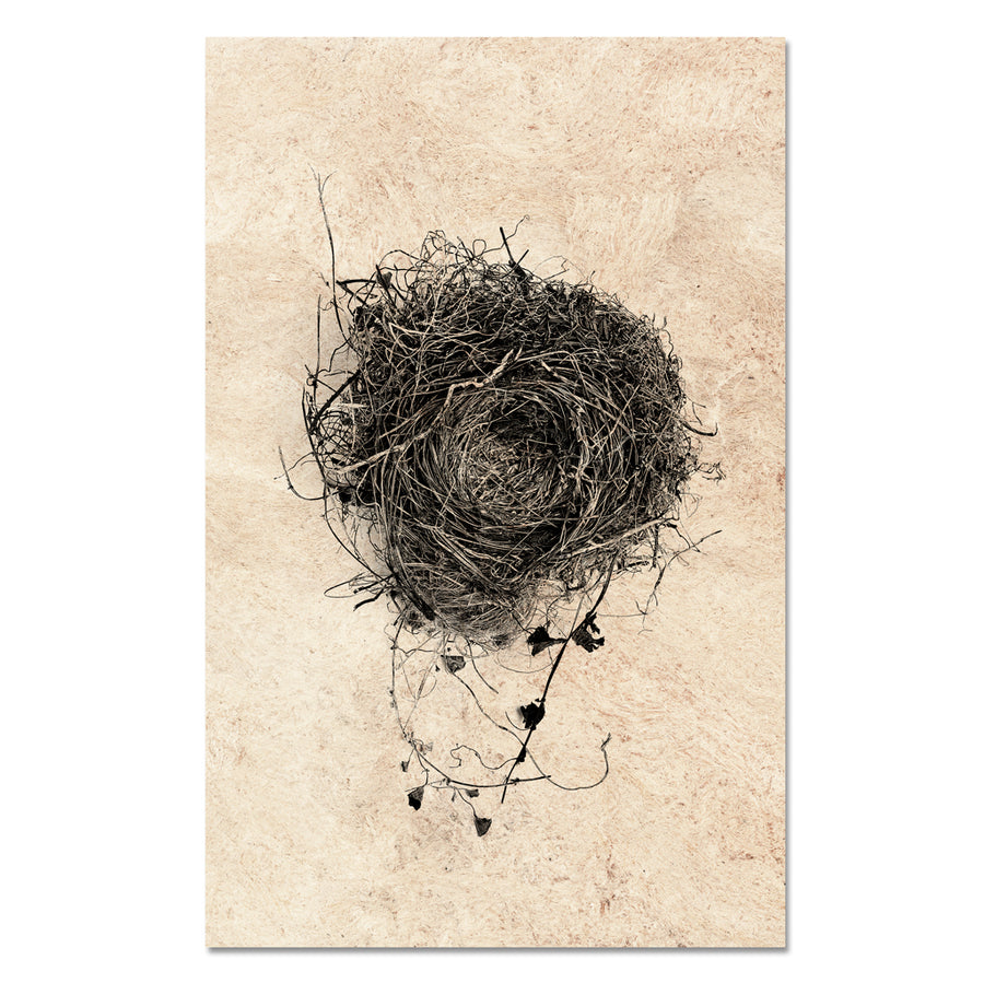 Nest Study #3