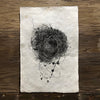 Nest Study #3 (Amate Perla)