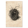 Nest Study #4